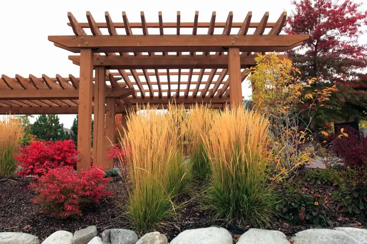 Freestanding cedar pergola with an open slat roof over a landscaped garden