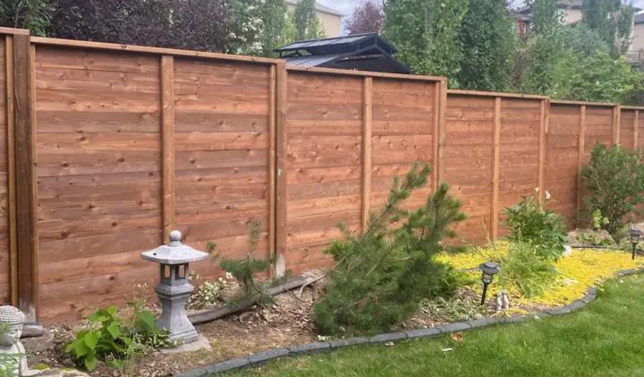 Cedar Fence