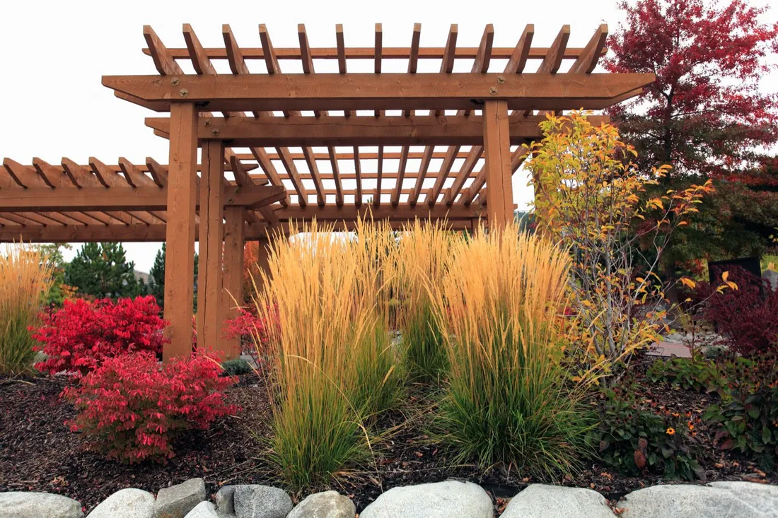 Freestanding cedar pergola with an open slat roof over a landscaped garden
